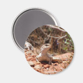 カメラのポーズ設定 マグネット (正面/裏面)