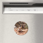 カメラのポーズ設定 マグネット (インサイチュ (食洗機))