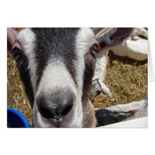 カメラの食べ物か？ (正面横)