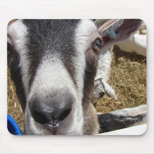 カメラの食べ物か？ マウスパッド (正面)