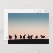 カメラはシャイ！ ポストカード (正面/裏面)