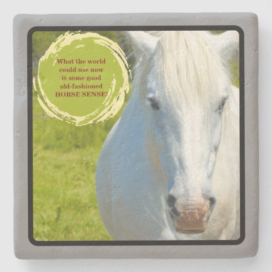 カメラや馬感覚を凝視する白馬 ストーンコースター (正面)