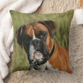 カメラを凝視しているボクサー犬 クッション (ブランケット)