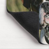 カメラを凝視しているボクサー犬 マウスパッド (コーナー)