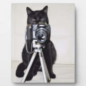 カメラを持った猫 フォトプラーク (正面)