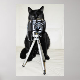 カメラを持った猫 - ポスター