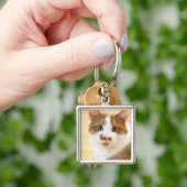 カメラを見ているオレンジおよび白い猫 キーホルダー (手)