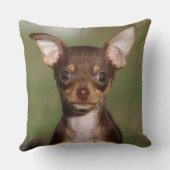 カメラを見ているチワワの子犬 クッション (裏面)