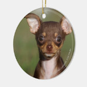 カメラを見ているチワワの子犬 セラミックオーナメント (左)