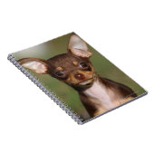 カメラを見ているチワワの子犬 ノートブック (右側)