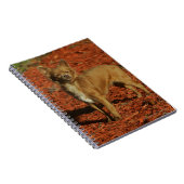 カメラを見ているチワワ ノートブック (右側)