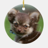 カメラを見ている長い髪のチワワの子犬 セラミックオーナメント (裏面)