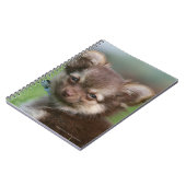 カメラを見ている長い髪のチワワの子犬 ノートブック (左側)