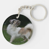 カメラを見ている長い髪のチワワ キーホルダー (裏面)