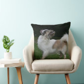 カメラを見ている長い髪のチワワ クッション (椅子)