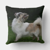 カメラを見ている長い髪のチワワ クッション (裏面)