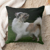 カメラを見ている長い髪のチワワ クッション (ブランケット)