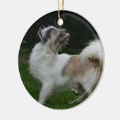 カメラを見ている長い髪のチワワ セラミックオーナメント (左)