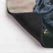 カメラを見ている間喘ぐ黒いパグ マウスパッド (コーナー)