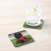 カメラを見ている黒いポメラニア犬の子犬 コースター (右側)