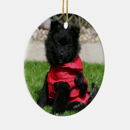 カメラを見ている黒いポメラニア犬の子犬 セラミックオーナメント (右)