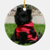 カメラを見ている黒いポメラニア犬の子犬 セラミックオーナメント (裏面)
