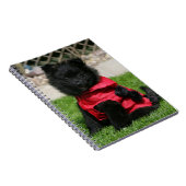 カメラを見ている黒いポメラニア犬の子犬 ノートブック (右側)