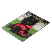 カメラを見ている黒いポメラニア犬の子犬 ノートブック (左側)