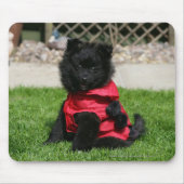 カメラを見ている黒いポメラニア犬の子犬 マウスパッド (正面)