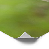 カメラを見て頭を隠す ポスター (角)