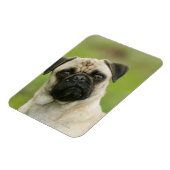 カメラを見て頭を隠す マグネット (左側)