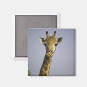 カメラを見ながら マグネット (正面/裏面)