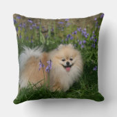 カメラを見ます立つポメラニア犬 クッション (裏面)
