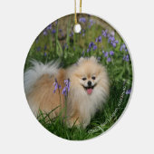 カメラを見ます立つポメラニア犬 セラミックオーナメント (左)