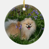 カメラを見ます立つポメラニア犬 セラミックオーナメント (裏面)