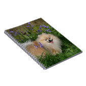 カメラを見ます立つポメラニア犬 ノートブック (右側)