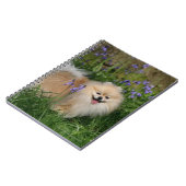 カメラを見ます立つポメラニア犬 ノートブック (左側)