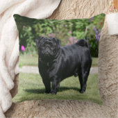 カメラを見ます立つ黒いパグ クッション (ブランケット)