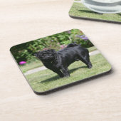 カメラを見ます立つ黒いパグ コースター (左側)