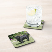 カメラを見ます立つ黒いパグ コースター (右側)