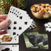 カメラを見ます立つ黒いパグ トランプ (インサイチュ)