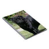 カメラを見ます立つ黒いパグ ノートブック (右側)