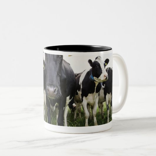 カメラを見ます続けて立っている牛 ツートーンマグカップ (正面右)