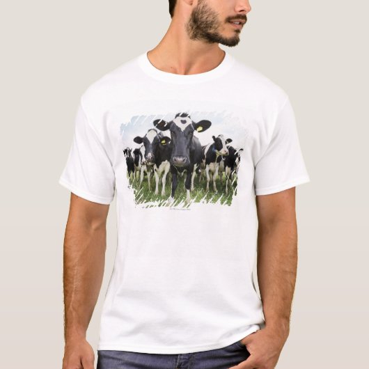 カメラを見ます続けて立っている牛 Tシャツ (正面)