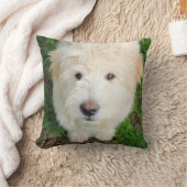 カメラを見るゴルドードルの子犬 クッション (ブランケット)