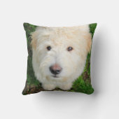 カメラを見るゴルドードルの子犬 クッション (裏面)