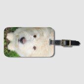 カメラを見るゴルドードルの子犬 ラゲッジタグ (正面横)