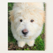 カメラを見るゴールデンドルの子犬 プランナー手帳 (裏面)