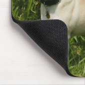 カメラを見るパグ マウスパッド (コーナー)