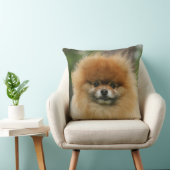 カメラを見るポメラニア犬のHeadshot クッション (椅子)